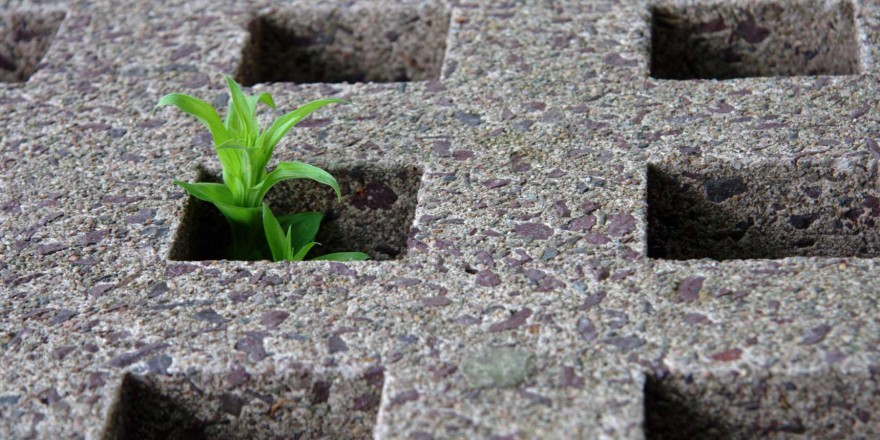 Carbon negative cement