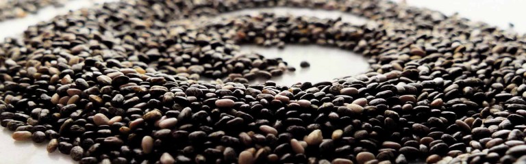 Chia-Seeds - Salvia Hispanica